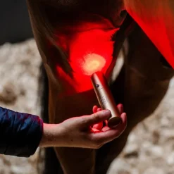 Stylo thérapeutique cheval LED Luminothérapie - Horseware