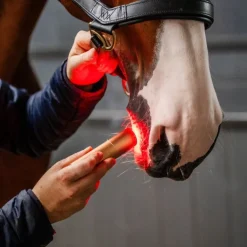 Stylo thérapeutique cheval LED Luminothérapie - Horseware