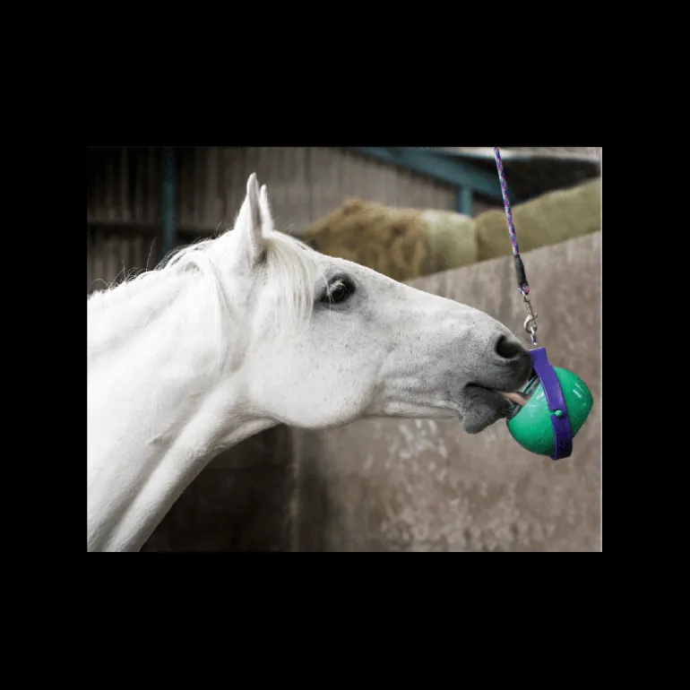 Support ludique pierre 250 g Boredom Buster - Likit