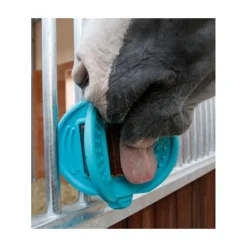 Support ludique pierre à lécher Bizzy Ball - Waldhausen