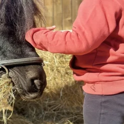 Sweat équitation Fille Future Championne - Kevin Staut Collection