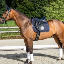 Tapis de dressage cheval Classique - Dy'on