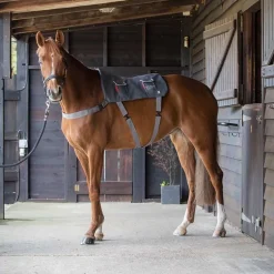 Tapis de massage cheval - Equilibrium