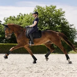 Tapis de selle cheval en mesh Rimini - Waldhausen