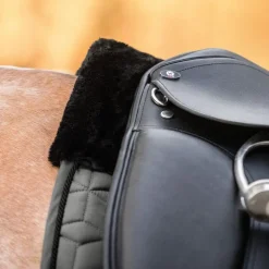 Tapis de selle cheval Nashville - Waldhausen