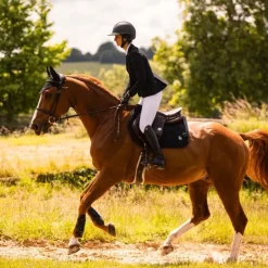 Tapis de selle cheval Spineshield Swarovski - Samshield