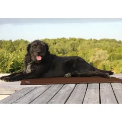 Tapis thérapeutique chat chien Sleepy dog