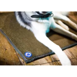 Tapis thérapeutique chat chien Sleepy dog