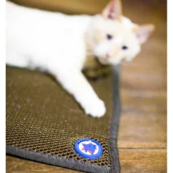 Tapis thérapeutique chat chien Sleepy dog