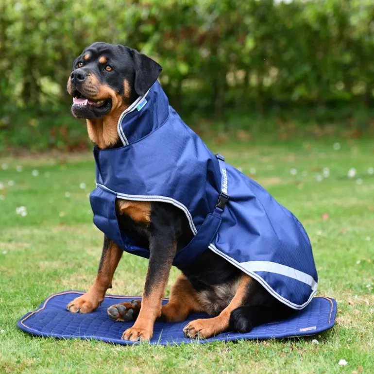 Tapis thérapeutique pour chien Therapy - Bucas