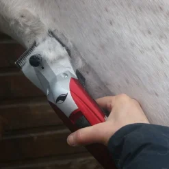 Tondeuse cheval secteur Kare Pro 200 Professional - Liveryman