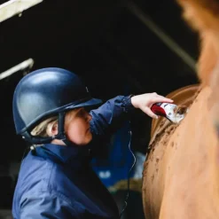 Tondeuse cheval secteur Kare Pro 200 Professional - Liveryman