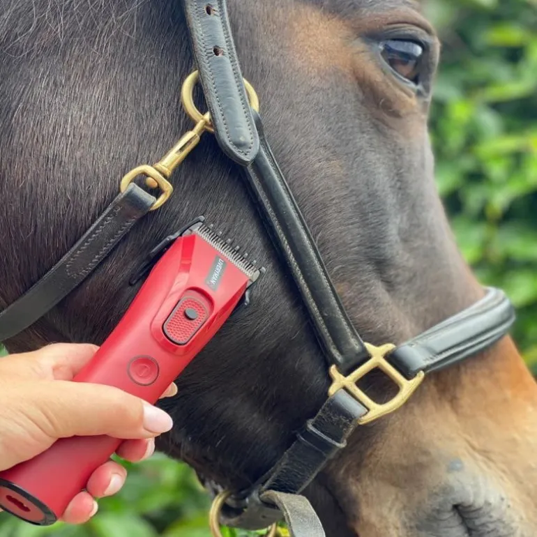 Tondeuse de finition cheval batterie Nova Trimmer - Liveryman
