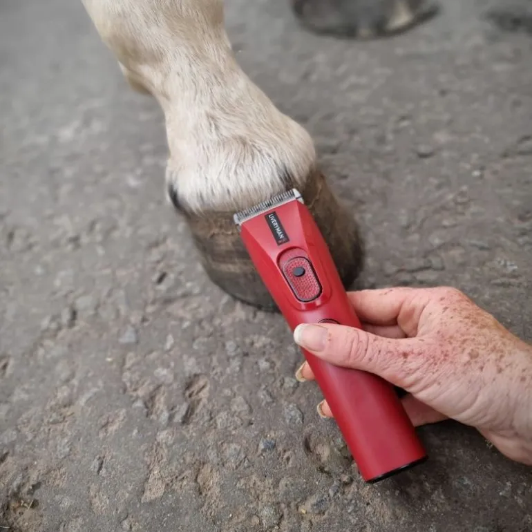 Tondeuse de finition cheval batterie Nova Trimmer - Liveryman