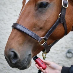 Tondeuse de finition cheval Batterie Robin - Liveryman